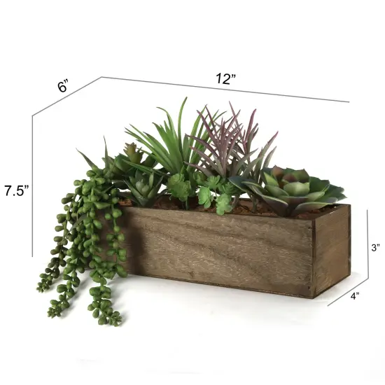 Premium Handcrafted Succulent Planter Box: w/ Variety Styles, Floral Home by Artificial Flowers {2}