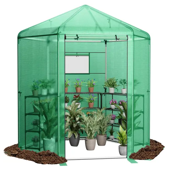 Walk-in Hexagonal Greenhouse With Pe Cover And Metal Frame {4}