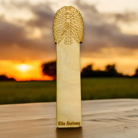 Bookmark - Ribs Anatomy - Birch wood {3}