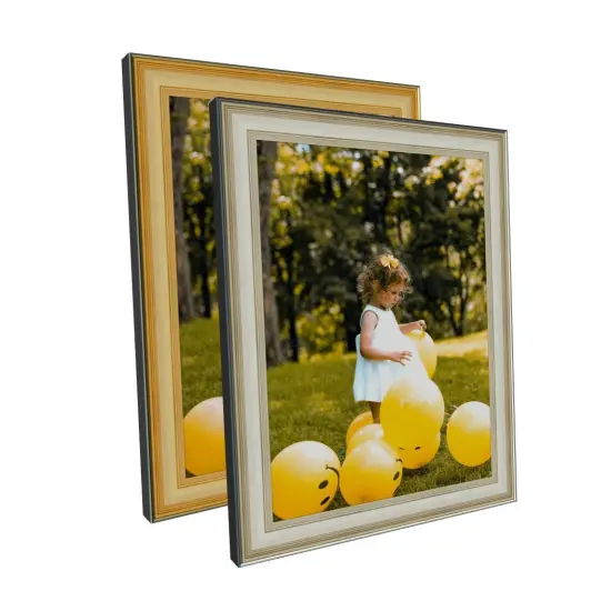Silver 17x10 Picture Frame Gold17x10 Frame 17 x 10 Poster Frames 17 x 10 {7}