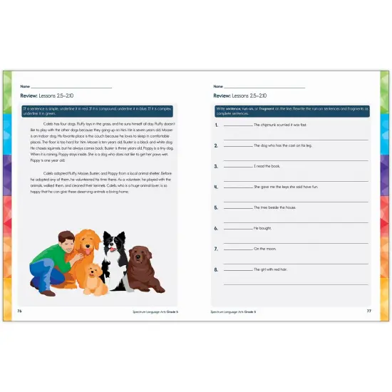 Spectrum Gr5 Language Arts Workbook {2}