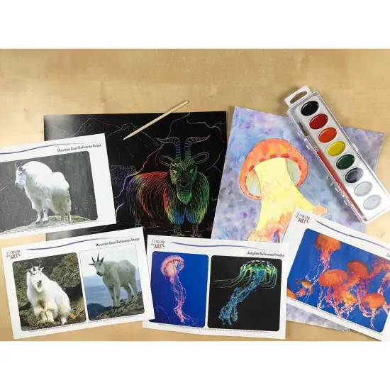 CA: Jellyfish & Mountain Goat {1}