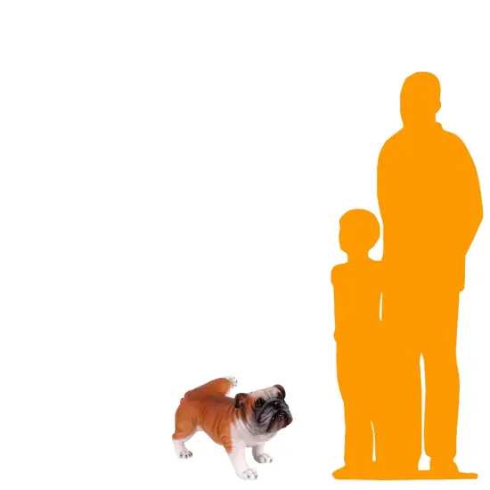 Bulldog Peeing Life Size Statue {2}