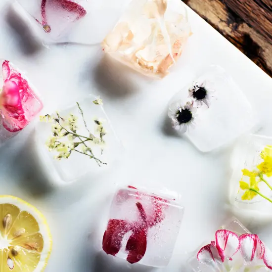 Silicone Ice Cube Mold 6 Cubes 2 Spheres Black Rubber Ice Cube Trays {4}