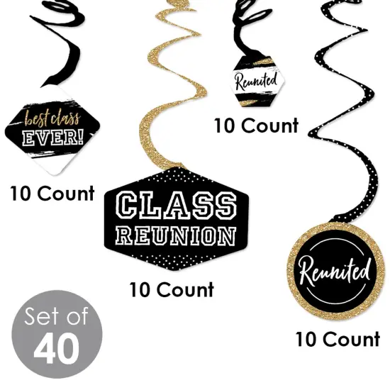 Big Dot of Happiness Reunited - School Class Reunion Party Hanging Decor - Party Decoration Swirls - Set of 40 {6}