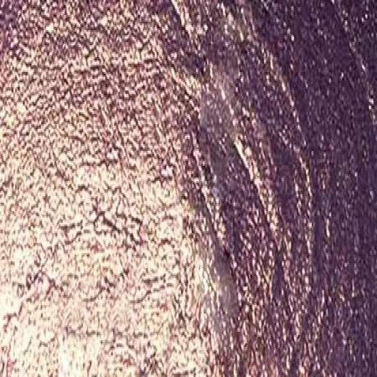 FolkArt Color Shift Paint 2oz {3}