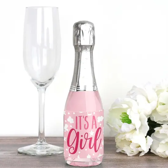 Big Dot of Happiness It's a Girl - Mini Wine and Champagne Bottle Label Stickers - Pink Baby Shower Favor Gift for Women and Men - Set of 16 {3}