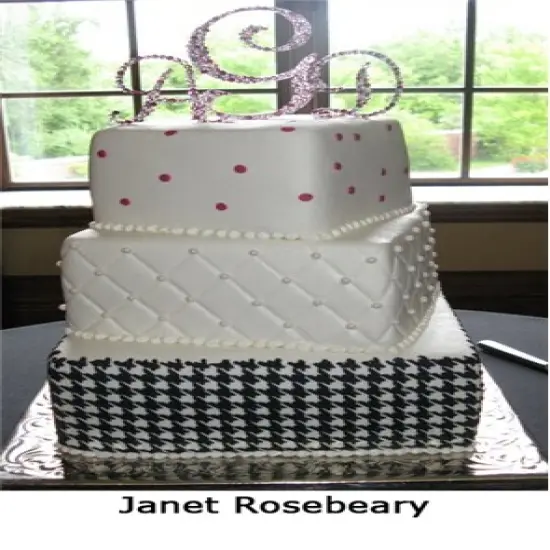 Houndstooth Cake Stencil Side | C462 by Designer Stencils | Cake Decorating Tools | Baking Stencils for Royal Icing, Airbrush, Dusting Powder | Reusable Plastic Food Grade Stencil for Cakes | Easy to Use & Clean Cake Stencil {2}