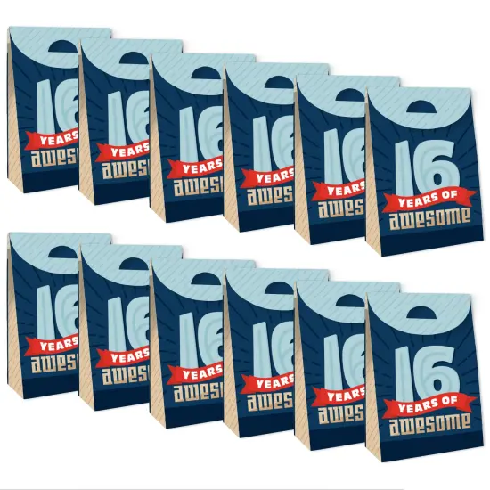 Big Dot of Happiness Boy 16th Birthday - Sweet Sixteen Birthday Gift Favor Bags - Party Goodie Boxes - Set of 12 {6}