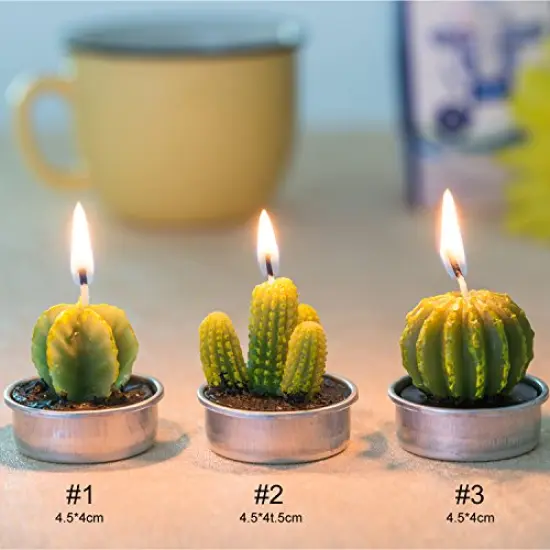 12 Pieces Cactus Tealight Candles,Handmade Delicate Succulent Cactus Candles for Party Wedding Spa Home Decoration Gifts {6}