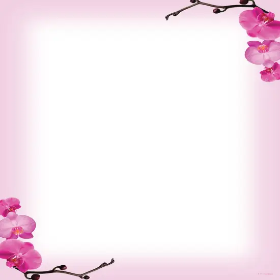 Great Papers! Pink Orchids Stationery Letterhead, Invitations and Announcements, Printer Friendly, 8.5"x11", 80 Pack {1}