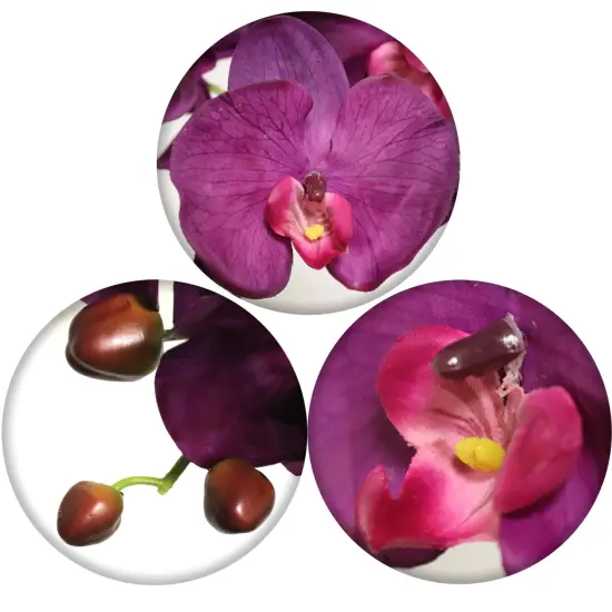 Set of 4: Vibrant Purple Phalaenopsis Orchid Stem with 9 Lifelike Silk Blooms | 33.5-Inch | Faux Orchids | Party & Event | Home & Office Decor {2}