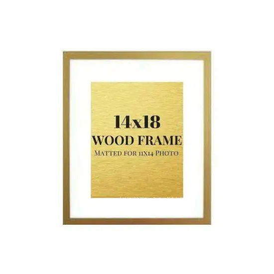 14x18 Gold picture frame mated 11x14 photo 14x18 frame {1}