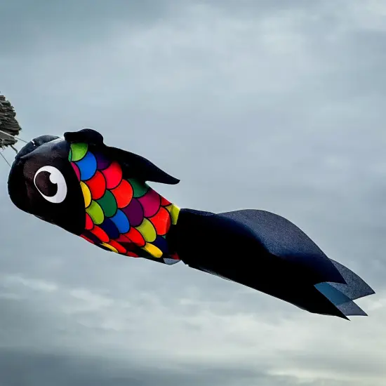 In the Breeze 5224 — 15-inch Black & Rainbow Damsel Fish — Colorful Fishsock Hanging Garden Decor with Detailed Printed Graphics {3}