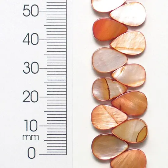 6 Packs of Tinted Shell Teardrop8 in Strand Pack of 2 {1}