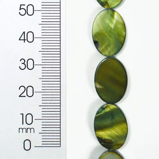 6 Packs of Tinted Shell 10x17mm Oval Olive 2x8" {1}