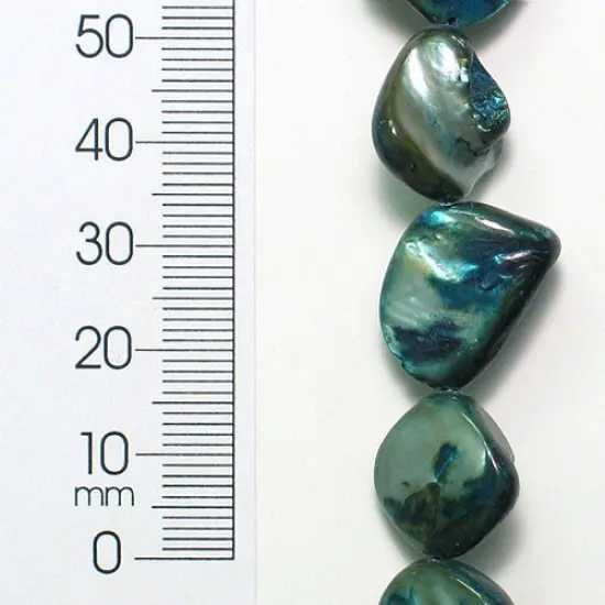 6 Packs of Tinted Shell Chunk Blue 2x8" Strand {1}