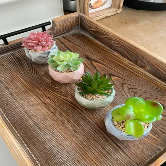 4pcs Fake Succulents Faux Succulent Plants in Pots Mini Potted Succulent Plants for Home Office Desk Decor {2}