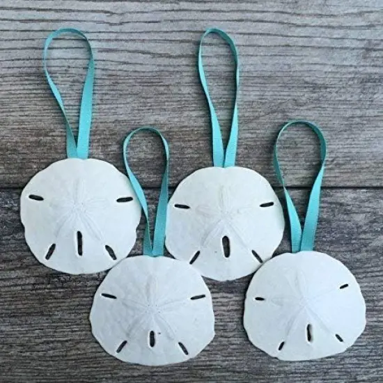Sand Dollar Ornaments Natural Sand Dollars 3" with Aqua Ribbon Set of 4 Real Sand Dollars for Beach Wedding D&eacute;cor {1}