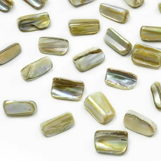 6 Packs of Tube Tinted Shell Beads - Natural - 2 x 8" Strand {1}