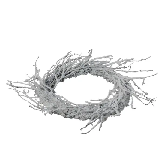 Northlight Snow Flocked and Iridescent Glitter Twig Artificial Christmas Wreath - 24-Inch, Unlit White {3}