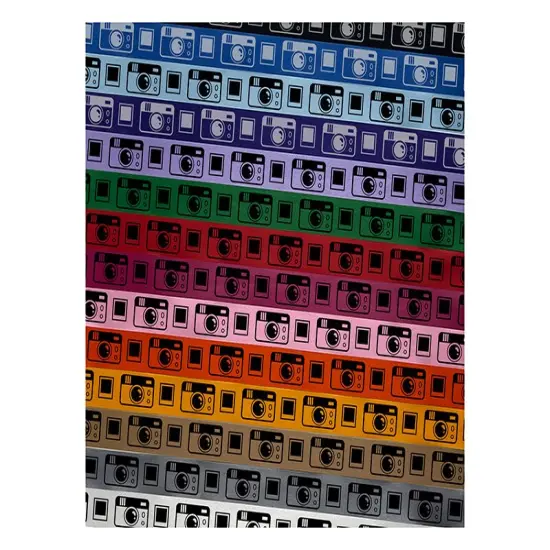 Vintage Disposable Camera Satin Ribbon for Bows Gift Wrapping - 1" - 3 Yards Green Ribbon {1}