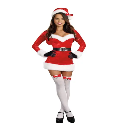 Adult's Womens Santa Baby Costume {1}