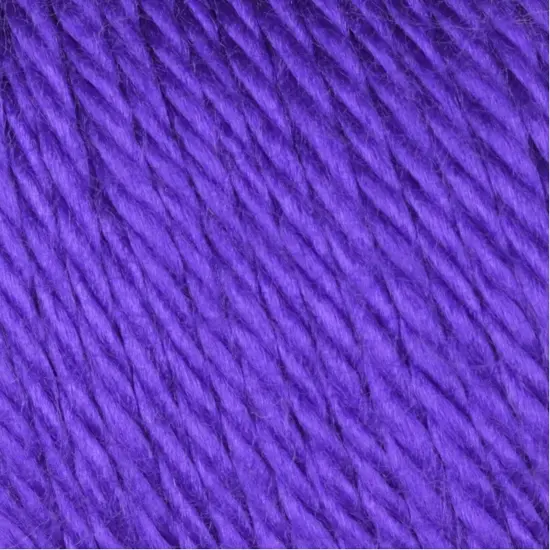 (Pack of 3) Caron Simply Soft Solids Yarn-Iris {3}