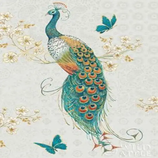 Ornate Peacock IXA Poster Print by Daphne Brissonnet - Item # VARPDX28573 {1}