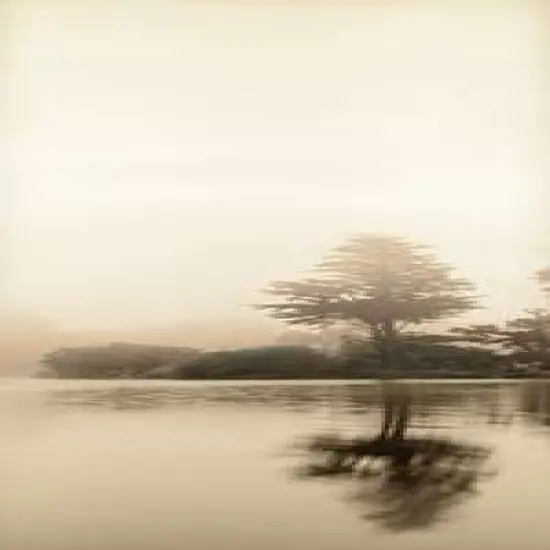 Lakeside Tree - 1 Poster Print by Alan Blaustein - Item # VARPDXABTRV4 {1}