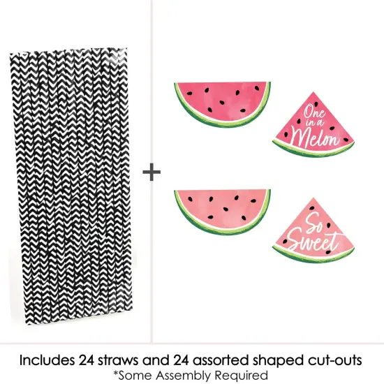 Big Dot of Happiness Sweet Watermelon - Paper Straw Decor - Fruit Party Striped Decorative Straws - Set of 24 {4}