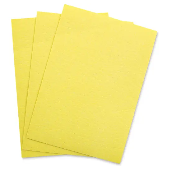 Masterson Sponge Insert Pack - 16" x 12", Pkg of 3 {1}