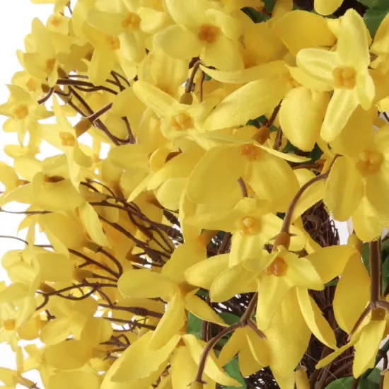 22" Sunny Yellow Forsythia Wreath with Grapevine Ring, Floral Home by Artificial Flowers {2}