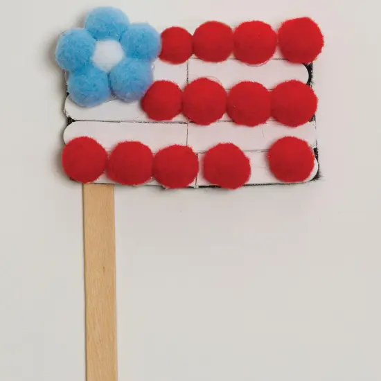 Pom Pons, Color Splash, 1", 100 Per Pack, 6 Packs {6}