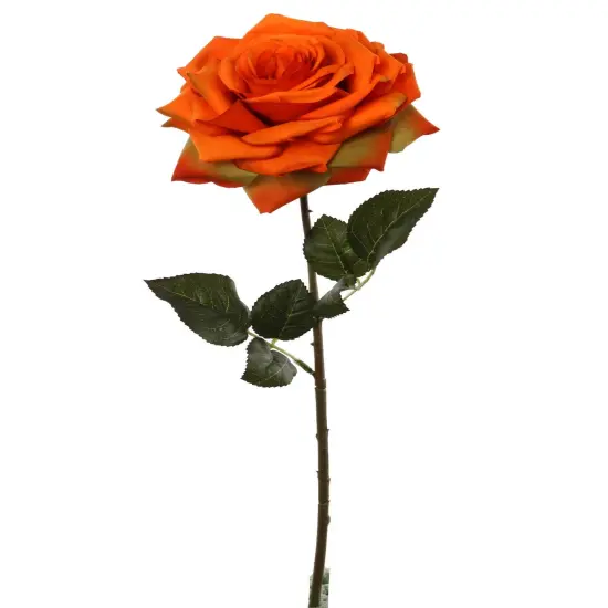 12-Pack: Open Rose Stem with Lifelike Silk Foliage, Floral Home by Artificial Flowers Red {7}