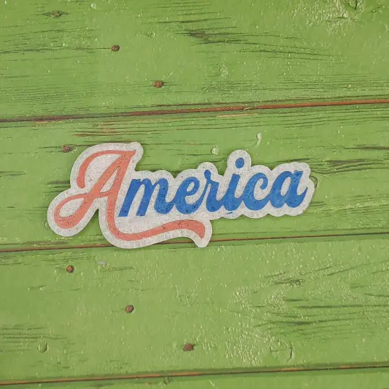 America Silicone Freshie Mold {2}