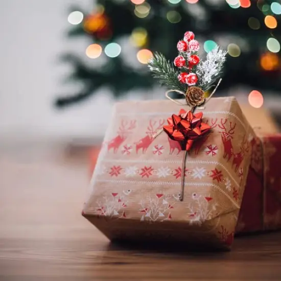 10 Pieces Christmas Berries Pine Cones for DIY Crafts-Christmas Tree Picks Spray Evergreen Artificial Pine Branches Holly Stem,Xmas Garland D&eacute;cor,Gift Wrap Embellishment (Red) {5}