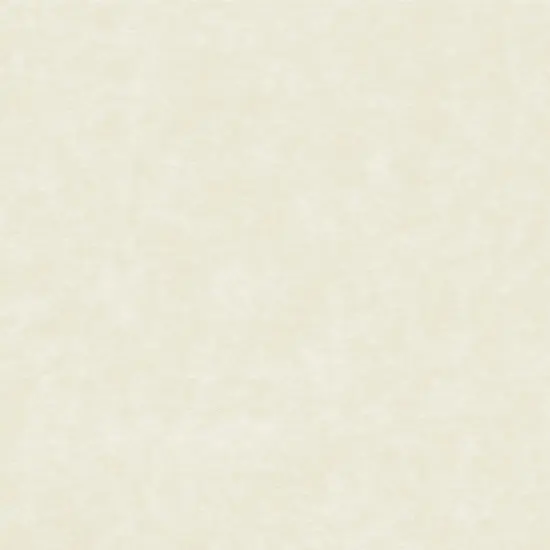 Great Papers! Parchment Paper Ivory Stationery Letterhead, Invitations and Announcements, Printer Friendly, 8.5"x11", 100 Pack {1}