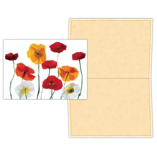 Red, Yellow and White Poppies - Boxed Greeting Cards, Box of 15 {1}