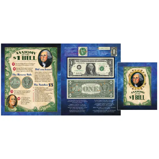 Anatomy of a Dollar {1}