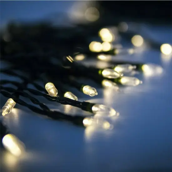 Outdoor String Lights Christmas Lights {4}