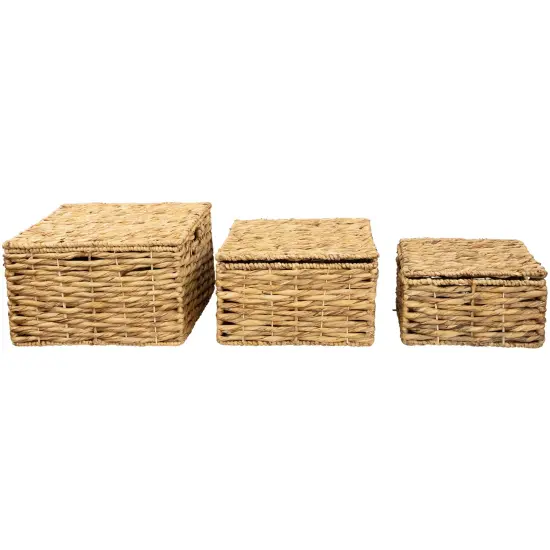 Northlight Set of 3 Camel Beige Woven Water Hyacinth Lidded Square Storage Baskets 15.5" {1}