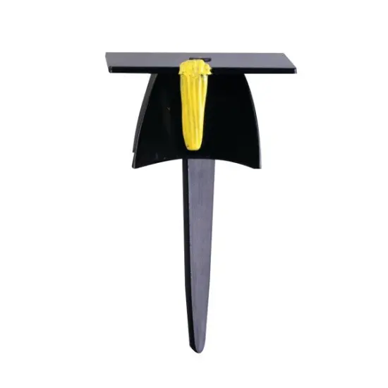 3D Grad Hat DecoPics&reg; Cupcake Decoration, 12ct {2}