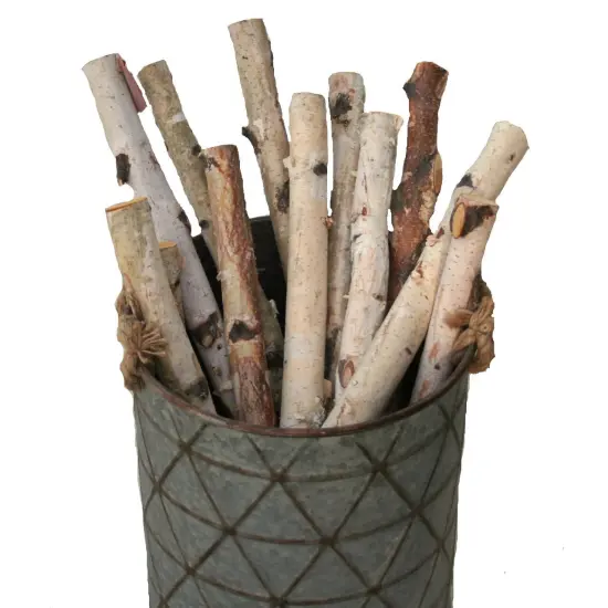 Wilson Decorative White Birch Logs, Natural Bark Wood Home Decor (Set of 12) - 15.5"-17.5" Length 1"-1.5" Dia. {2}