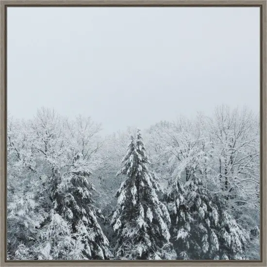 Snowshoe Hill and Trees by Sue Schlabach 30-in. W x 30-in. H. Canvas Wall Art Print Framed {1}