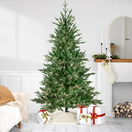 Northlight Real Touch™ Pre-Lit Medium Grande Spruce Artificial Christmas Tree - 6' - Clear Lights Green {1}