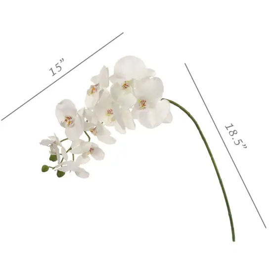 4-Pack: Real Touch White Phalaenopsis Orchid Stem, Floral Home by Artificial Flowers {3}
