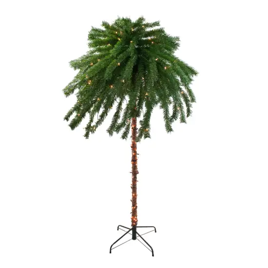 Northlight Pre-Lit Artificial Palm Tree - 6' - Clear Lights Green {1}