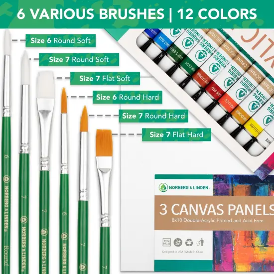 Canvas and Acrylic Paint Sets for Adults, Teens, Kids - Includes 12 Vivid Colors, 3 Painting Canvas Panels & 6 Assorted Brushes {1}
