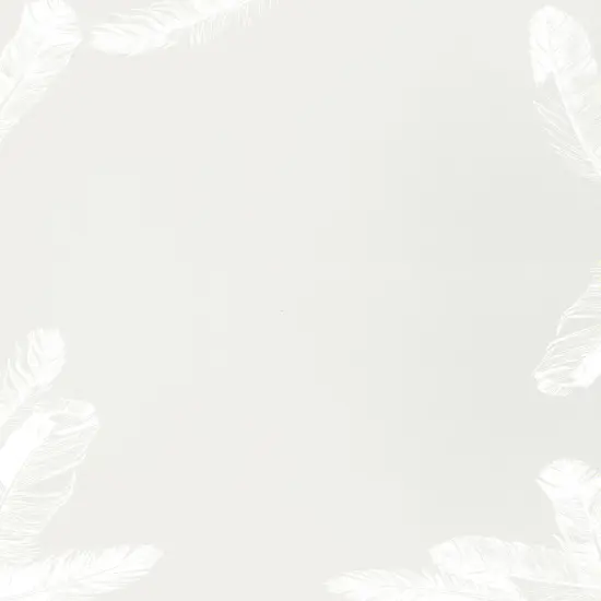 Great Papers! Soft Feathers Stationery Letterhead, Invitations and Announcements, Printer Friendly, 8.5"x11", 80 Pack {1}